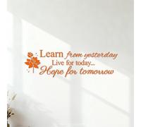 Mural and Wall Vinyl Decal Learn from Yesterday Live for Today Hope for Tomorrow 25x85cm Store Decoration Orange