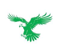 Mural and Wall Vinyl Decal Majestic Black Eagle 32x48.2cm Glass Stickers Green