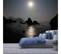 Mural Photo Wallpaper 3D Night Moon Landscape 450(W)X315(H)Cm Self-Adhesive Wall Art For Living Room Bedroom Office Children'S Room Wall Decoration Wallpaper Art Poster Tv Background Mural Wal-8134194
