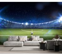 Mural Wallpaper Football Field Blue Wallpaper 3D Effect Murals for Bedroom and Living Room Wall Decoration -KX20206, 250x175cm