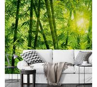 Mural Wallpaper Green BAMBOO JUNGLE Wall Mural 366x254cm Botanical Nature Forest