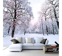 Mural Wallpaper Hd Winter Snow Scene Beautiful Wallpaper 3D Murals for Bedroom Wallpaper Living Room Art Deco,430cmx300cm