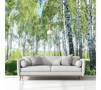 Mural Wallpaper Photography Spring Birch Forest 200 x 140 cm Modern Art Wall Mural, Green Easy to Install Non-Woven Poster Photo Wallpaper, for Bedroom Living Room TV Backdrop Decor