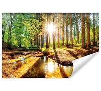 Muralo - 3D Wallpaper Forest at Dawn Non-Woven Wallpaper - Photo Wallpaper 3D Effect - Wallpaper for Living Room Bedroom Wall Wallpaper Forest Sun Rays - Width 90 cm x Height 60 cm