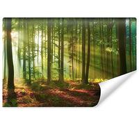 Muralo - 3D Wallpaper Forest at Dawn Non-Woven Wallpaper - Photo Wallpaper 3D Effect - Wallpaper for Living Room Bedroom Wall Wallpaper Forest Sun Rays - Width 90 cm x Height 60 cm