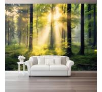 Murals Non-Woven Wallpaper 250 x 175 cm, Landscape Jungle Sunlight Foliage Patterned Wall Art Photo Wallpaper Wall Mural Home Bedroom Living Room Nursery Restaurant Poster Decoration, Green Yellow