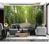 Murals Wallpaper Trees Road Landscape,150x105cm 3D Wallpaper Wall Photo Mural Wall Paper for Background Bedroom