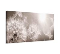 murando Acoustic Canvas Wall Art 135x45 cm / 53" x 18" picture with acoustic foam sound absorption print image Artwork 1 pc room acoustics soundproofing Flowers flash Dandelion Nature b-C-0161-b-a