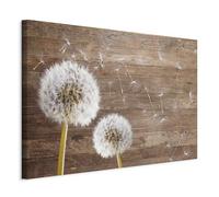 murando Acoustic Canvas Wall Art Dandelion 90x60 cm / 36" x 24" | picture with acoustic foam sound absorption print image Artwork 1 pc room acoustics soundproofing Nature botany Wood look