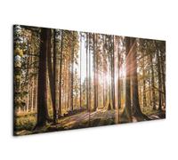 murando Acoustic Canvas Wall Art Forest 200x80 cm / 79" x 32" Picture with acoustic foam sound absorption print image Artwork 5pcs room acoustics soundproofing Nature Trees c-C-0177-b-p