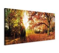 murando Acoustic Canvas Wall Art Forest 225x90 cm / 89" x 35" Picture with acoustic foam sound absorption print image Artwork 5pcs room acoustics soundproofing Nature Trees c-B-0287-b-m