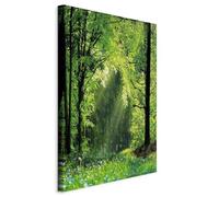 murando - Acoustic Canvas Wall Art Summer Forest Scene 40x60 cm - 1 Piece Italian Canvases - Soundproofing Wall Panels Decoration - Home Decor Office - Sound Absorbing - Landscape c-C-0417-b-a
