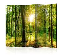 murando Acoustic Room Divider Forest Photo Screen 225x172 cm / 88" x 67" Double-sided Print on Non-woven Canvas Acoustic Foam Partition Wall Spanish Wall Aperture Home Office Nature Sun b-B-0383-z-c