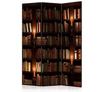 murando Acoustic Room Divider Library Photo Screen 135x172 cm / 53" x 67" Double-sided Print on Non-woven Canvas Acoustic Foam Partition Wall Spanish Wall Aperture Home Office Books f-B-0142-z-b