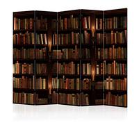 murando Acoustic Room Divider Library Photo Screen 225x172 cm / 88" x 67" Double-sided Print on Non-woven Canvas Acoustic Foam Partition Wall Spanish Wall Aperture Home Office Books f-B-0142-z-c