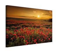 murando Canvas Wall Art Poppy Field 90x60 cm / 36"x24" 1 pcs Large Canvas Prints XXL Art Deco Pictures for Bedroom Walls Home Decor Wall Pictures Landscape Nature Meadow sunset c-B-0639-b-a