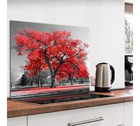 murando Glass Splashback for Kitchen Backsplash Cooker Protector Tempered Glass Decorative Wall Art Panel Heat Resistant Graphic 80x60 cm / 32"x24" Natur Tree red black Ahorn c-B-0517-aq-e