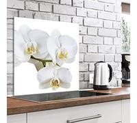 murando Glass Splashback for Kitchen Backsplash Cooker Protector Tempered Glass Decorative Wall Art Panel Heat Resistant Graphic 80x80 cm / 32"x32" Flowers Orchid White Blossom b-C-0556-aq-a