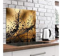 murando Glass Splashback for Kitchen Backsplash Cooker Protector Tempered Glass Decorative Wall Art Panel Heat Resistant Graphic 80x80 cm / 32"x32" Flowers Dandelion Nature b-B-0460-aq-a