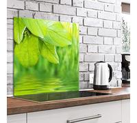 murando Glass Splashback for Kitchen Backsplash Cooker Protector Tempered Glass Decorative Wall Art Panel Heat Resistant Graphic 60x60 cm / 24"x24" Plants Nature Leaves Water Green b-B-0450-aq-a