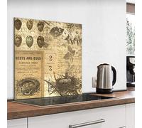 murando Glass Splashback for Kitchen Backsplash Cooker Protector Tempered Glass Decorative Wall Art Panel Heat Resistant Graphic 60x60 cm / 24"x24" Vintage Birds Retro n-A-0989-aq-a