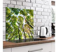 murando Glass Splashback for Kitchen Backsplash Cooker Protector Tempered Glass Decorative Wall Art Panel Heat Resistant Graphic 60x60 cm / 24"x24" Nature Forest Trees b-B-0452-aq-a