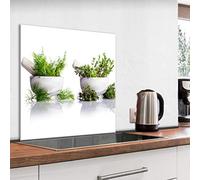 murando Glass Splashback for Kitchen Backsplash Cooker Protector Tempered Glass Decorative Wall Art Panel Heat Resistant Graphic 80x80 cm / 32"x32" Herbal Plants j-B-0094-aq-a