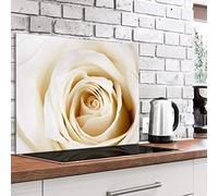 murando Glass Splashback for Kitchen Backsplash Cooker Protector Tempered Glass Decorative Wall Art Panel Heat Resistant Graphic 80x60 cm / 32"x24" Flowers Rose Beige Petals b-B-0441-aq-e