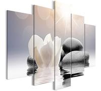 murando Handart Canvas Wall Art Flowers Stones 100x50 cm / 39.4"x19.7" 5 pieces Canvas Prints Image Framed Painting Modern Art Photo Wall Decoration Zen b-B-0267-b-m
