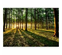 murando Photo Wallpaper 200x140 cm Non-Woven Premium Art Print Fleece Wall Mural Decoration Poster Picture Design Modern Flower Floral Nature Forest Nature Landscape Trees c-B-0127-a-b