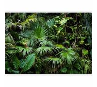 murando Photo Wallpaper 3D Effect 245x175 cm - Peel and Stick Self-Adhesive Foil Print Wall Mural Tropical Leaves Monstera b-B-0312-a-a