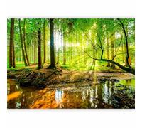murando - Photo Wallpaper 400x280 cm / 158"x110" - Non-Woven Premium Art Print Fleece Wall Mural Decoration Poster Picture Design Modern - Forest Nature Tree Green Water c-B-0241-a-a