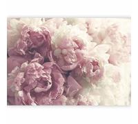 murando - Photo Wallpaper Flower 300x210 cm / 118.1" x 82.7" - Non-Woven Premium Art Print Fleece Wall Mural Decoration Poster Picture Design Modern - Flowers Nature Botany Peonies Pink b-B-0616-a-a