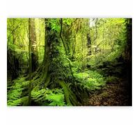 murando Photo Wallpaper Forest 350x256 cm Non-Woven Premium Art Print