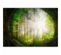 murando Photo Wallpaper Forest 392x280 cm / 155"x111" Peel and Stick Self-Adhesive Foil Print Wall Mural Hallway Landscape Nature Lightning Sun b-A-10119-a-a