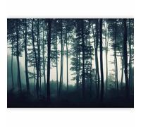 murando Photo Wallpaper Forest 400x280 Centimetres / 158"x110" | Non-Woven Premium Art Print Fleece Wall Mural Decoration Poster Picture Design Modern, Dark Night Nature Fog Trees