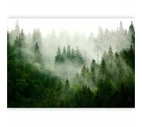 murando - Photo Wallpaper Forest Fog 343x256 Centimetres / 135"x97" - Peel and Stick Self-Adhesive Foil Print Wall Mural Decoration Picture Design Modern - Nature Landscape Scandinavian c-B-0533-a-b