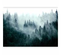 murando Photo Wallpaper Forest Fog 343x256 Centimetres Peel and Stick Self-Adhesive Foil Print Wall Mural Wand Nature Landscape Scandinavian c-B-0533-a-d