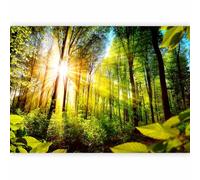 murando Photo Wallpaper Landscape 250x175 cm Non-Woven Premium Art Print
