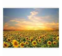 murando Photo Wallpaper Landscape 343x256 cm / 135" x 96.5" Peel and Stick