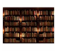 murando Photo Wallpaper Library 450x315 cm / 177"x124" Non-Woven Premium Art Print Fleece Wall Mural Decoration Poster Picture Design Modern Books Reading Room Bibliotheca Magic f-B-0142-a-a
