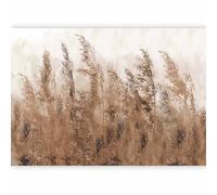 murando - Photo Wallpaper Pampas Grass 441x315 cm / 173.6" x 124" Peel and Stick Self-Adhesive Foil Print Wall Mural Decoration Picture Design Modern - Nature Meadow Beige White b-A-0724-a-b