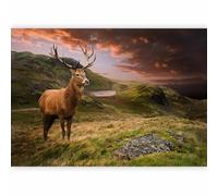 murando Photo Wallpaper Red Deer Animals 392x280 Centimetres Peel and Stick Self-Adhesive Foil Print Wall Mural Landscape Nature g-B-0220-a-a
