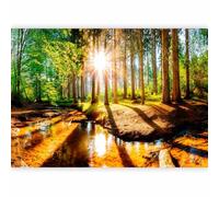 murando Premium Photo Wallpaper Forest 500x350 cm / 197"x138" Non-Woven Premium Art Print Fleece Wall Mural Decoration Poster Picture Design Modern Landscape Sun Green Nature Water c-B-0267-a-a