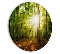 murando Round Canvas Wall Art Forest 40x40 cm / 16"x16" Canvas Prints 1 piece Image Framed Artwork Painting Picture Photo Home Decoration Landscape Nature sunbeam c-B-0663-bc-a