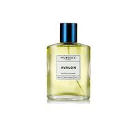 Debenhams Men's Avalon Cologne 100ml in Misc