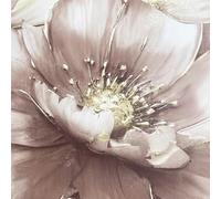 Muriva Aminah Floral Blush Wallpaper
