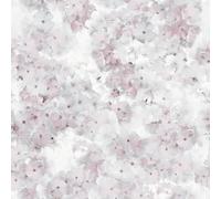 Muriva Apple Blossom Rose Wallpaper
