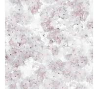 Muriva Ltd Muriva Apple Blossom Rose Wallpaper, Pink