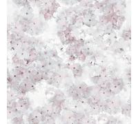 Muriva Apple Blossom Wallpaper in Rose Muriva Rose
